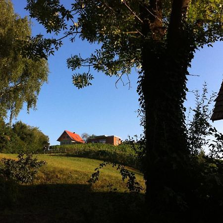 Ferienhaeuser Im Weingarten Fehring Exteriör bild