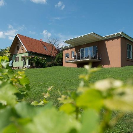 Ferienhaeuser Im Weingarten Fehring Exteriör bild