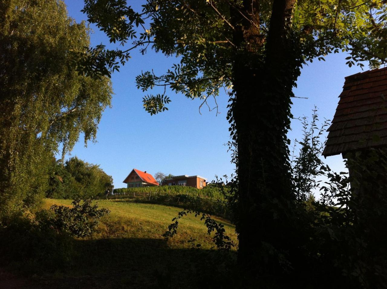 Ferienhaeuser Im Weingarten Fehring Exteriör bild