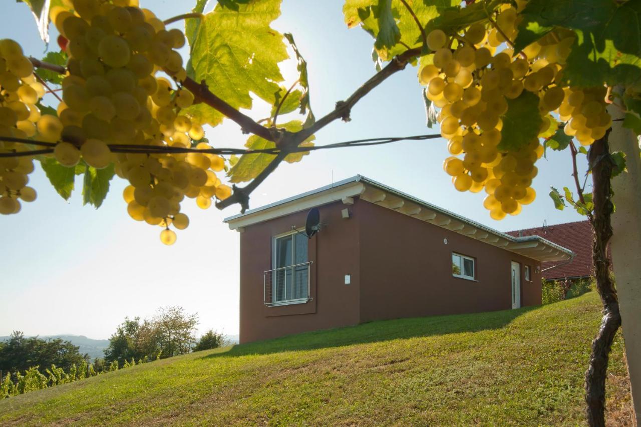 Ferienhaeuser Im Weingarten Fehring Exteriör bild