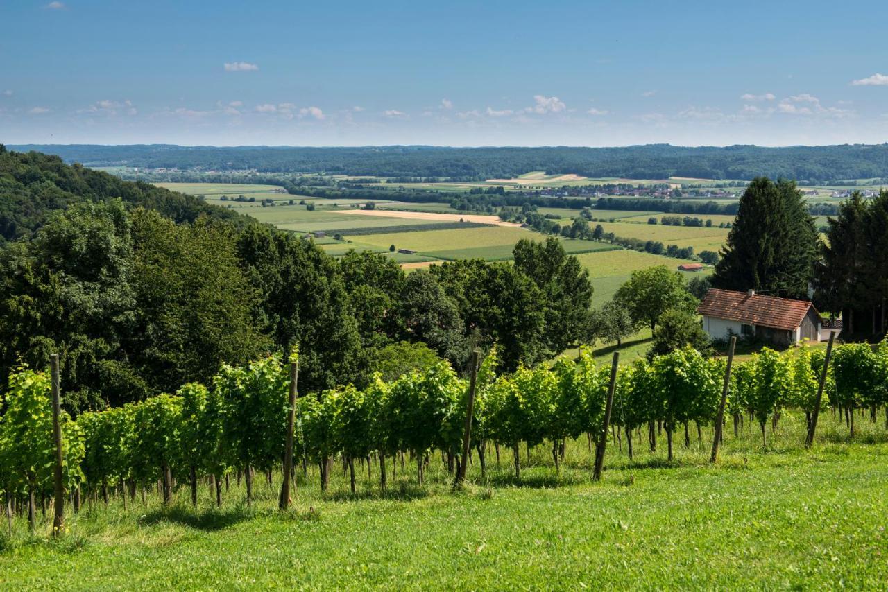 Ferienhaeuser Im Weingarten Fehring Exteriör bild